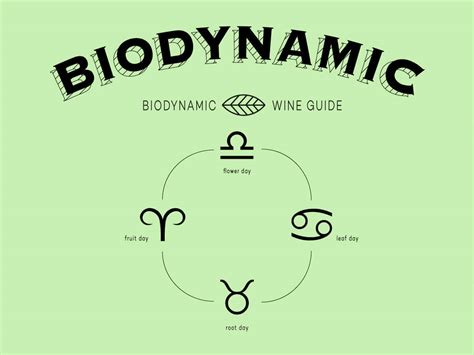 Getting Into Biodynamic Wine Wine Folly