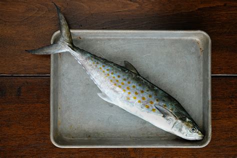 Spanish Mackerel Sashimi with Ginger, Lemon & Soy — Elevated Wild