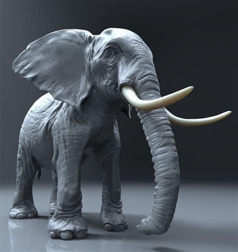 Zbrush Elephant 3d Model