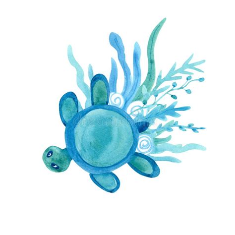 Watercolor Painted Sea Turtle Stock Illustrations Watercolor