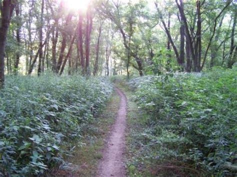 Chickasaw Trace Mountain Bike Trail In Columbia Tennessee Directions