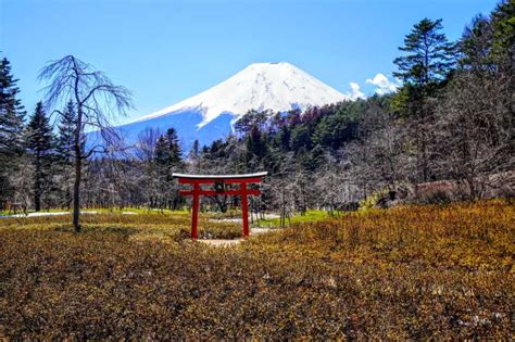 Ab Tokio Tagestour Zum Fuji Und Nach Hakone Mit Bootsfahrt GetYourGuide