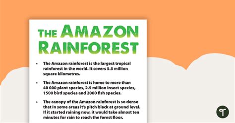 Amazon Rainforest Fact Sheet Teaching Resource Teach Starter