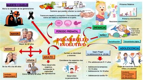 Desarrollo Evolutivo Ppt Descarga Gratuita