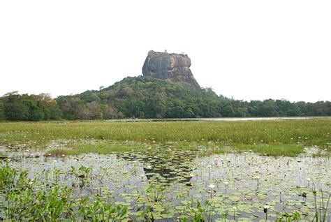 Village Walks in Sri Lanka |Travel Destination Sri Lanka