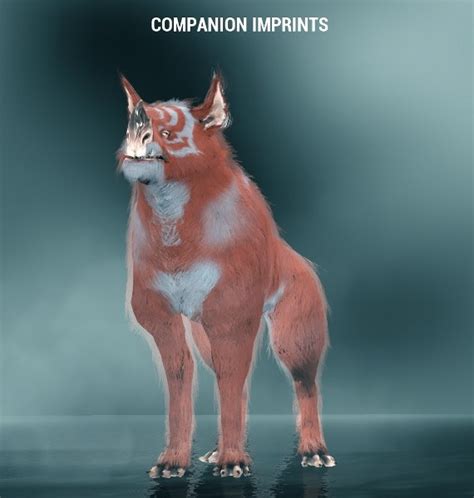 Massive KUBROW sale -all Breeds, colours and patterns! - Trading Post ...