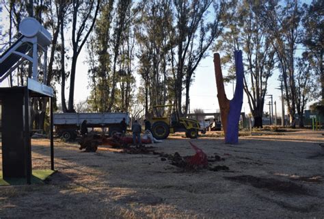 Mantenimiento De Arboleda En El Parque Sarmiento FM Samba