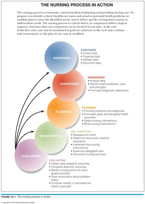 6 Phases Of Nursing Process