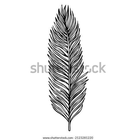 Palm Leaf Sketch Isolated Retro Element Stock Vector (Royalty Free ...