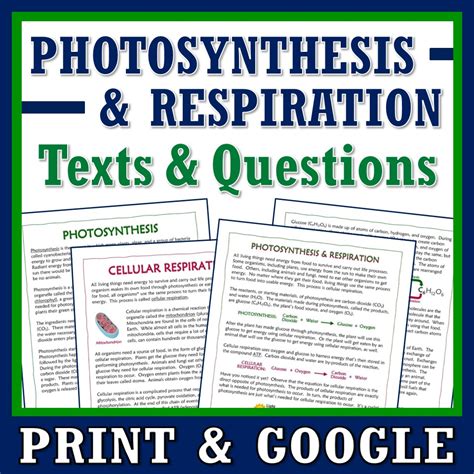 Photosynthesis And Cellular Respiration Article And Worksheet Set