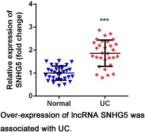 Full Article Long Non Coding Rna Snhg5 Regulates Ulcerative Colitis