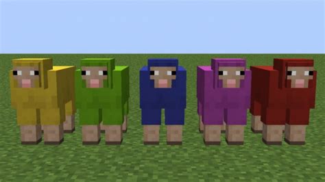 How to dye a sheep in Minecraft?