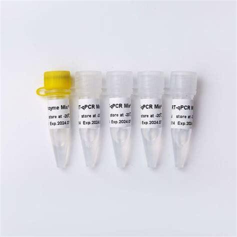 Dna Polymerase Reagenzkit V Guangzhou Dongsheng Biotech Co Ltd