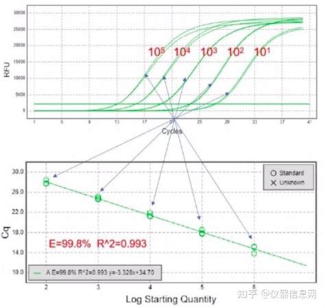 Pcr 实战宝典 No5：实时荧光pcr 知乎
