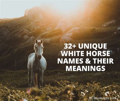 32+ White Horse Names and Their Meanings (Funny, Famous,..) | Levo