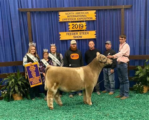 Louisville Prospect Steer Show Matt Lautner Cattle