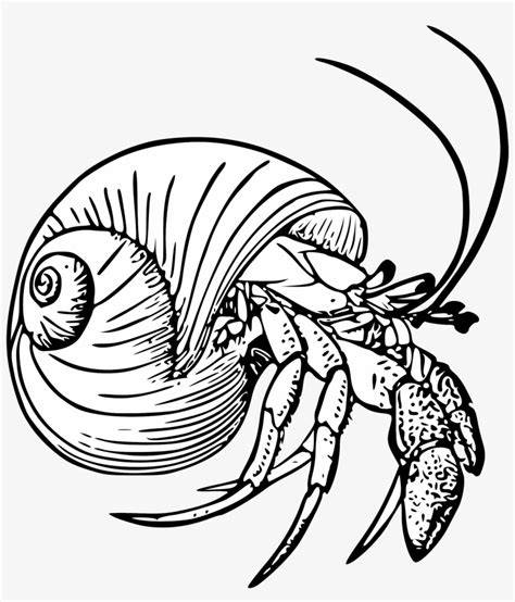 Eric Carle Coloring Pages Printable