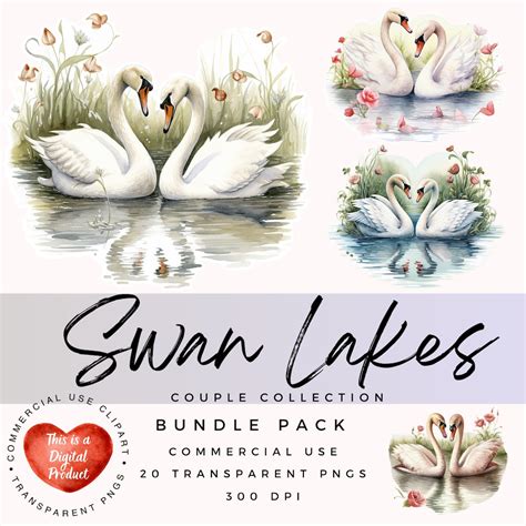 Swan Lake Clipart Watercolor Swan Clipart Valentine's Day Valentines Clipart PNG Swan Print ...