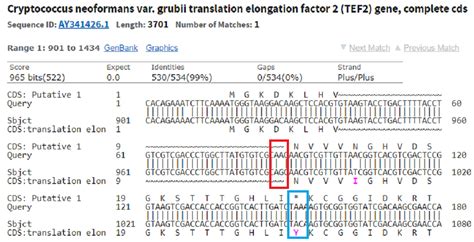 Nucleotide Amino Acid Translation Table | Cabinets Matttroy