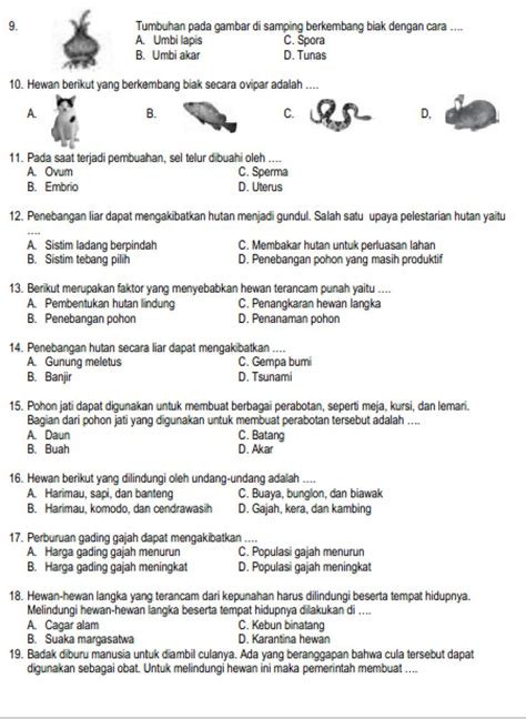 Soal Ipa Kelas 5 Semester 1 Beserta Kunci Jawaban Homecare24