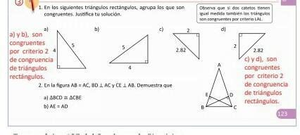 En Los Siguientes Tri Ngulos Rect Ngulos Agrupa Los Que Son Congruentes