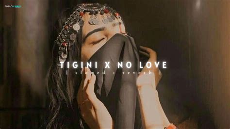 Tigini X No Love Mashup Lofi [ Slowed Reverb ] Mashupsong Youtube