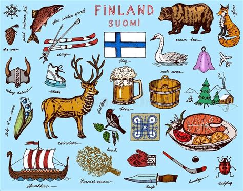 Symbols of Finland in Vintage Style. Doodle Sketch with Traditional ...