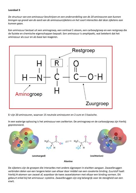 Leerdoel Leerdoel De Structuur Van Een Aminozuur Beschrijven