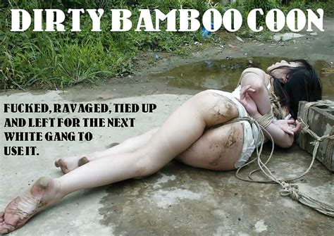 Asian Humilaition Race Play Captions Porn Pictures XXX Photos Sex Images 1709221 PICTOA