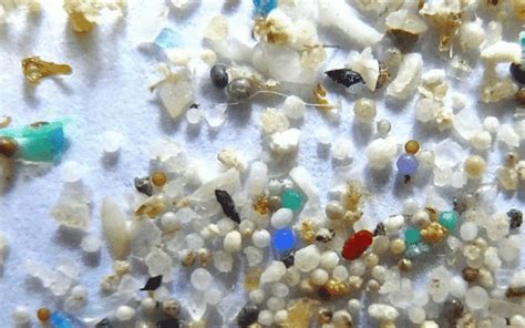 Scientists Demand End to Microbeads in Manufacturing