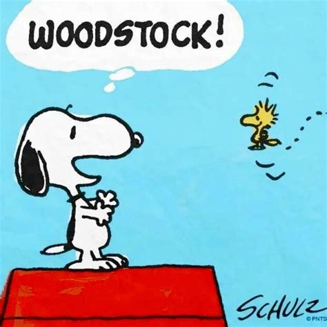 Pin By ~ 🌜🍀shannon 🍀🌛~ On Snoopy And The Peanuts Gang Snoopy Pictures Snoopy Comics Snoopy And