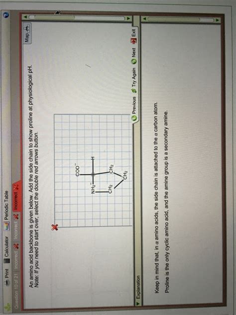 Solved An amino acid backbone is given below. Add the side | Chegg.com