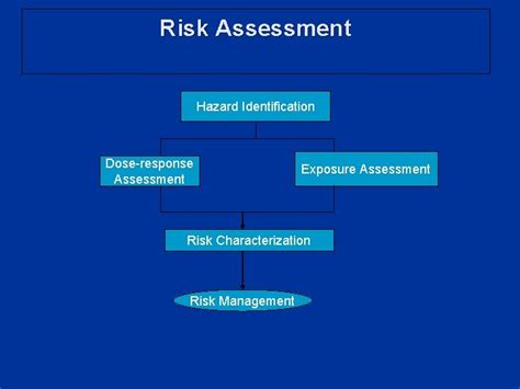 Arsenic Exposure Perspective On Risk Assessment Rabiya Shabnam