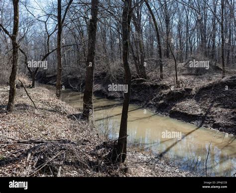 Landscape Of Former Strip Coal Mine On The Outskirts Of Columbia