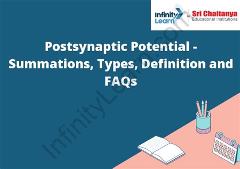 Postsynaptic Potential - Summations, Types, Definition and FAQs ...