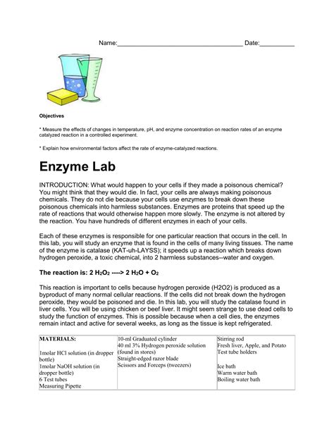 Enzyme Lab