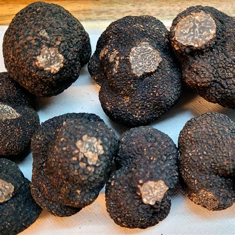 Trufas Negras De Invierno Tuber Melanosporum Trufa Negra Teruel