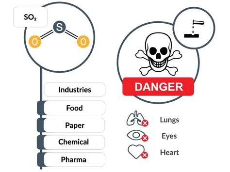 Sulfur Dioxide 101: How to handle SO₂ Emissions?