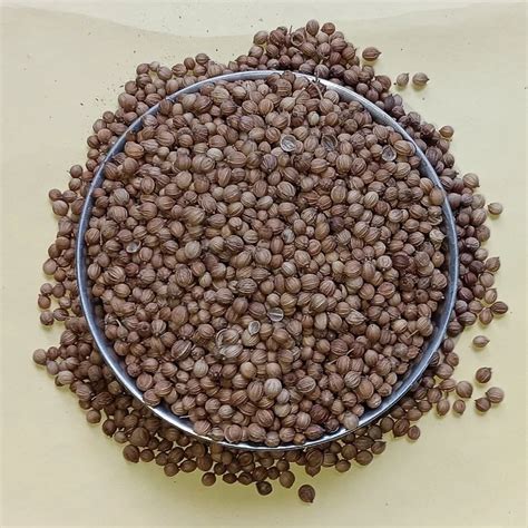 Grade Badami Dried Brown Coriander Seed Form Seeds At Rs 85 Kg In Kanpur