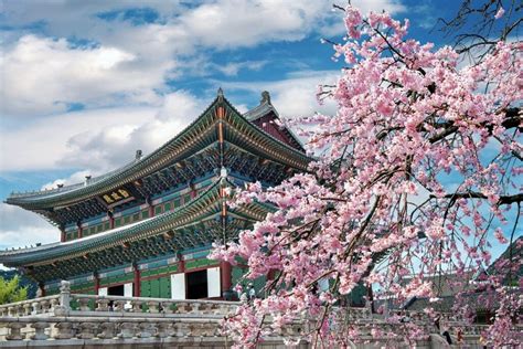 Spring in Korea - 15 Best Places to See Korea in Spring