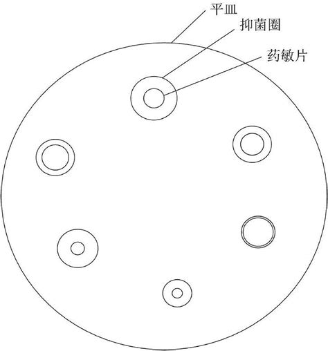 一种基于图像的药敏片抑菌圈大小测量方法与流程