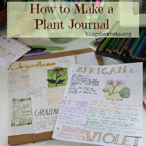 How To Make A Plant Journal Plant Journal Plant Study Garden Journal