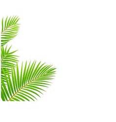 Palm leaf border Royalty Free Vector Image - VectorStock