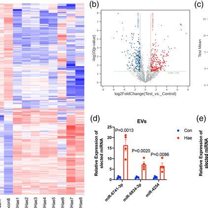 Differential Expression Profile Of Micrornas Mirnas In The Control