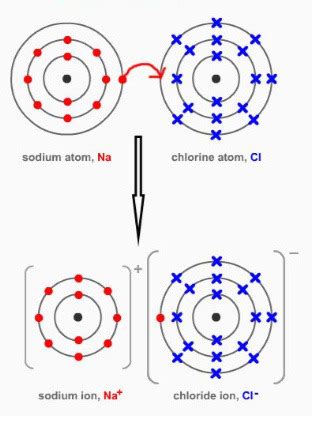 Topic Ionic Bonding Flashcards Quizlet