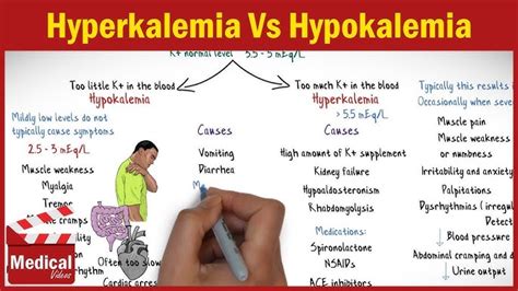 Ppt Signs And Symptoms Of Hypokalemia Powerpoint 56 Off