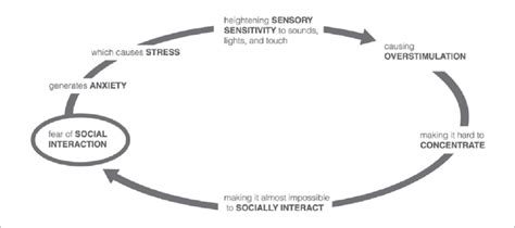 Negative feedback loop resulting in difficulties in social interaction ...