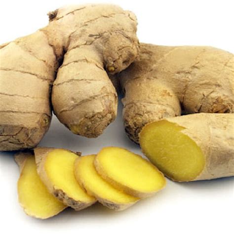 Ginger Rhizomes Zingiber Officinale Adapted From Plantgrouph