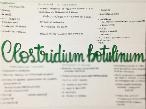 SOLUTION Clostridium Botulinum Studypool