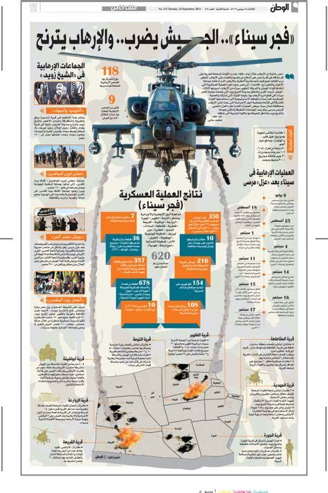 32 Palestine Infographics ideas | palestine, infographic, gaza